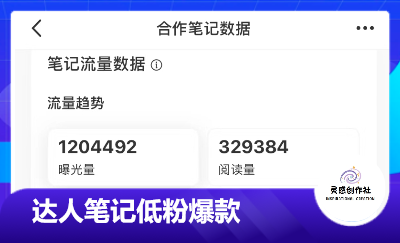 小紅書低粉爆款數(shù)據(jù)圖