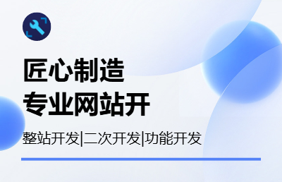 定制开发建设官方制作网站开发