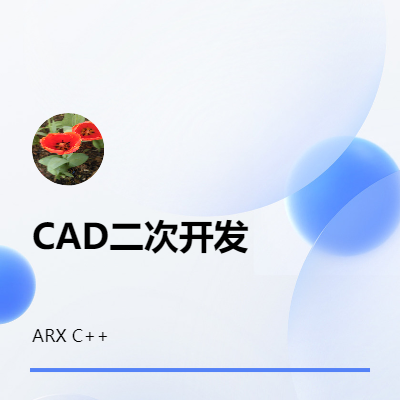 cad二次开发 ARX