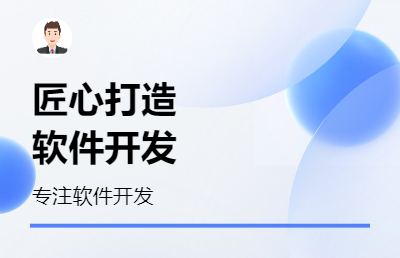 定制开发、二次开发等软件开发