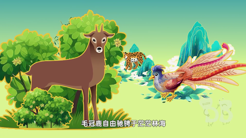 本本動(dòng)畫創(chuàng)意中心