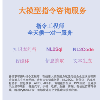 提供個性化大模型解決方案咨詢（指令咨詢、POC)