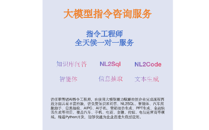 提供个性化大模型解决方案咨询（指令咨询、POC)