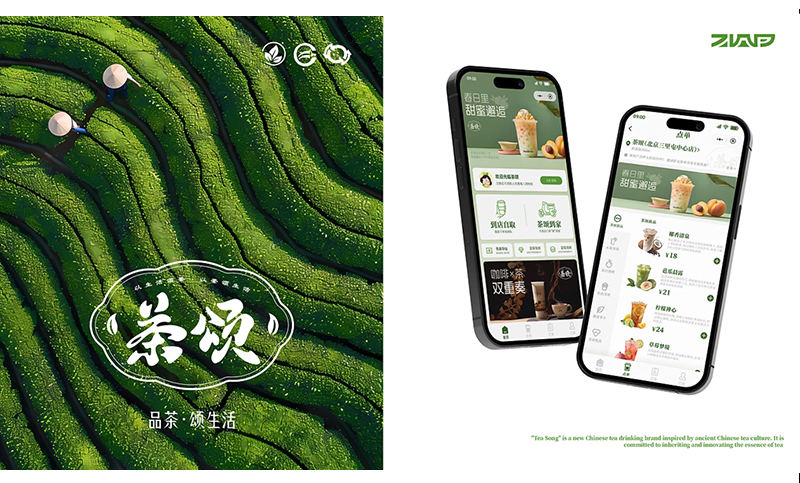 大星奇道品牌设计