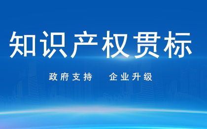 知识产权贯标|项目补贴政策补贴