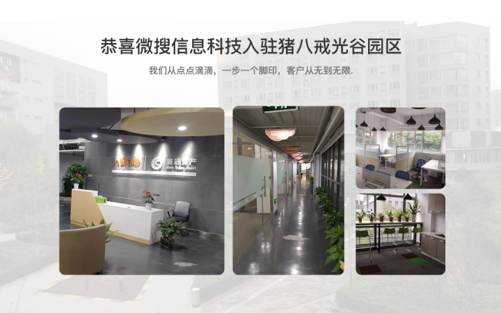 微搜信息科技-场景化应用服务商