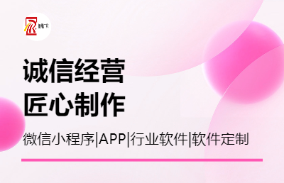 软件开发，ERP MES，APP，微信小程序