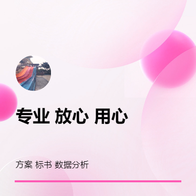 服務(wù)方案，標(biāo)書，數(shù)據(jù)分析等